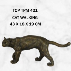 CAT WALKING
