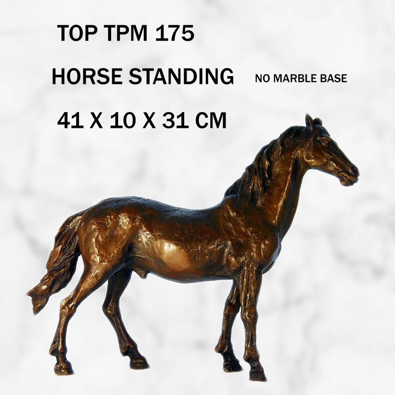 HORSE STANDING